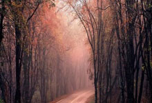 马洛卡乘胜追击，比利亚雷亚尔黯然神伤