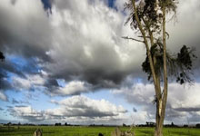 瑞士女足：新赛季的曙光，胜利的序曲