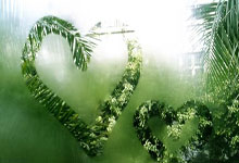 冰岛寒风中的篮球之火：芬兰男篮荣膺国际邀请赛邀请，实力之名响彻云霄