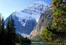 绿茵场上的奇迹时刻：点燃激情的意外之喜